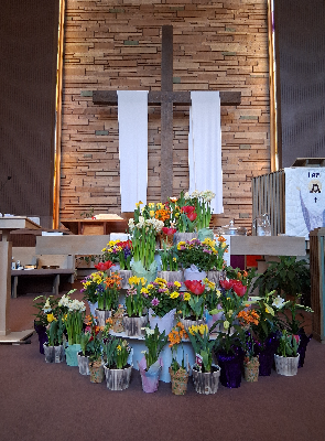 easter-flowers-2026-04-05.jpg