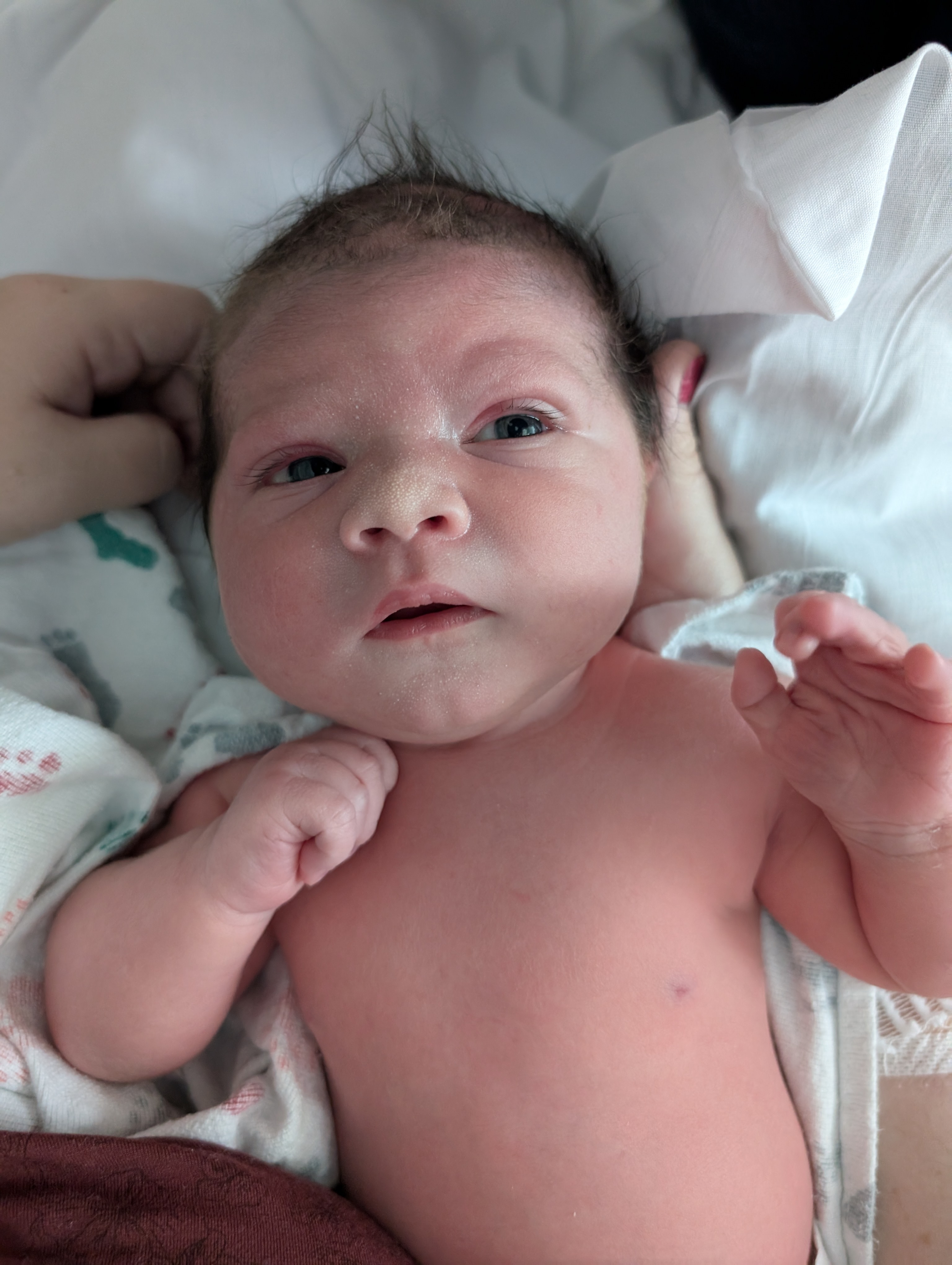 elliot-owen-hill-colegrove-2025-09-16.jpg